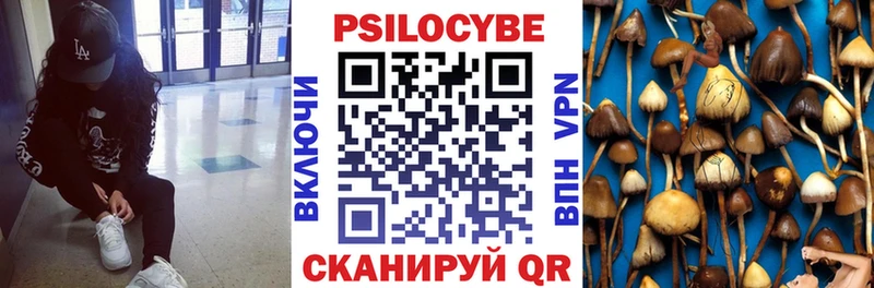 Псилоцибиновые грибы мухоморы  Шатура 