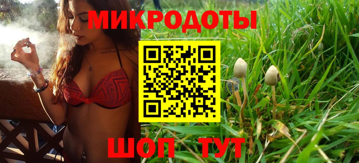 Псилоцибиновые грибы прущие грибы  Вход с VPN  Шатура 