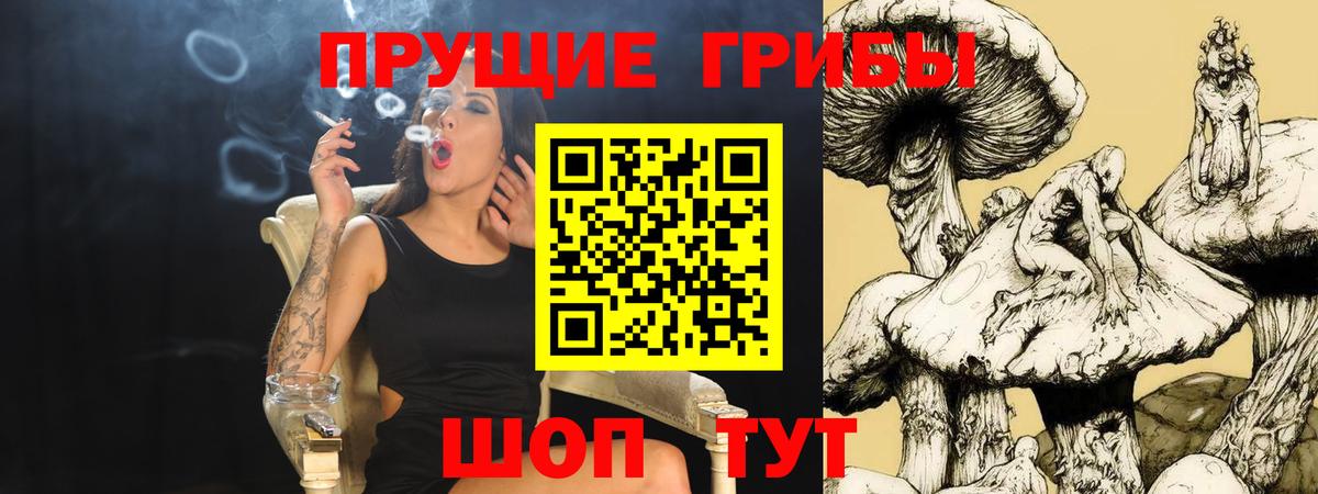 Галлюциногенные грибы MAGIC MUSHROOMS Шатура